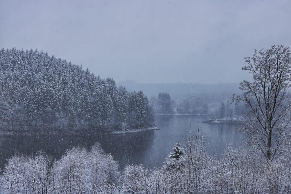 Lake surrounded by snowy trees 
