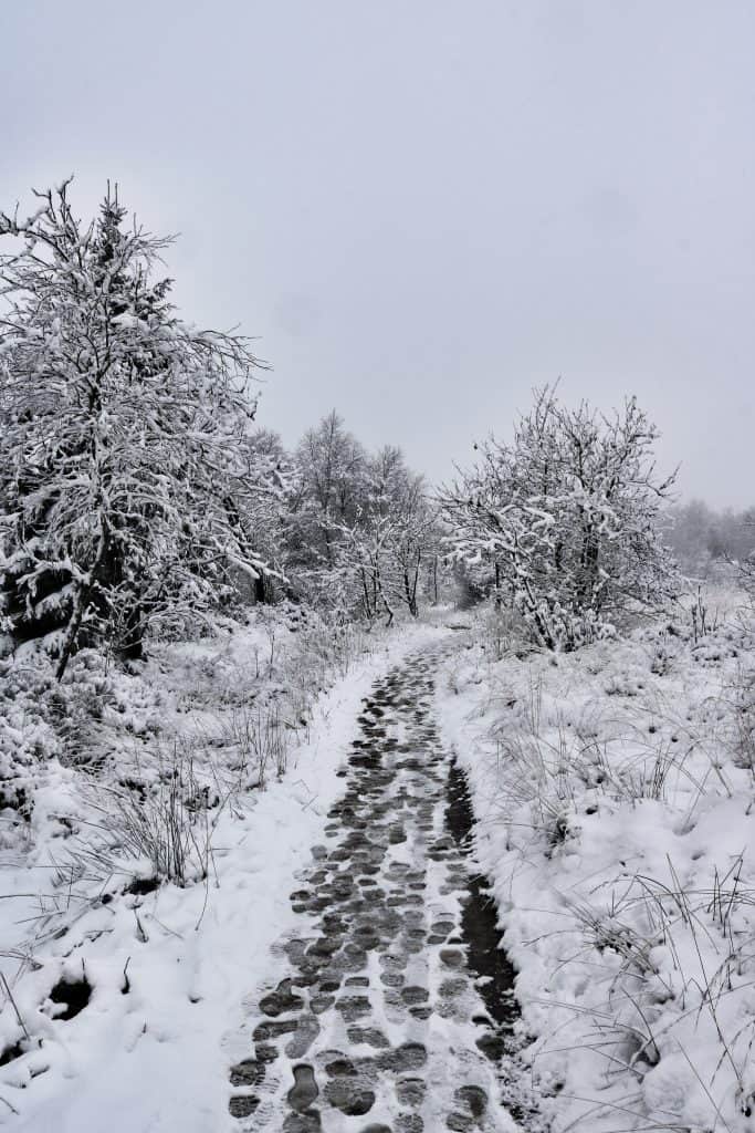 Hiking path paved with cobbles covered with snow and trees on the side