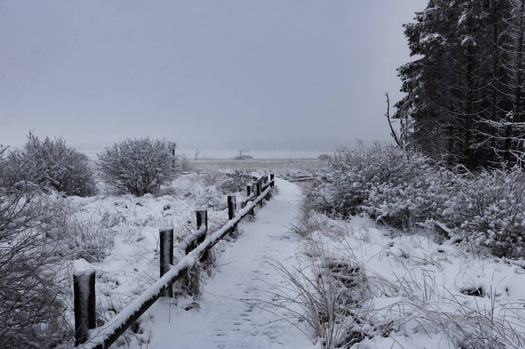 When the first snow falls in Belgium