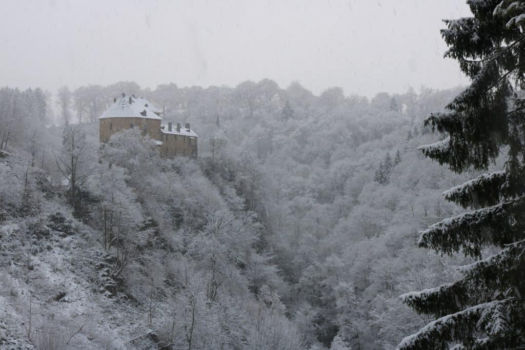 Castle on a hill with snowy trees and a huge pine tree on the right