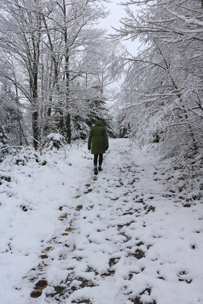 Girl hiking on a snowy road with snowy trees on both sides