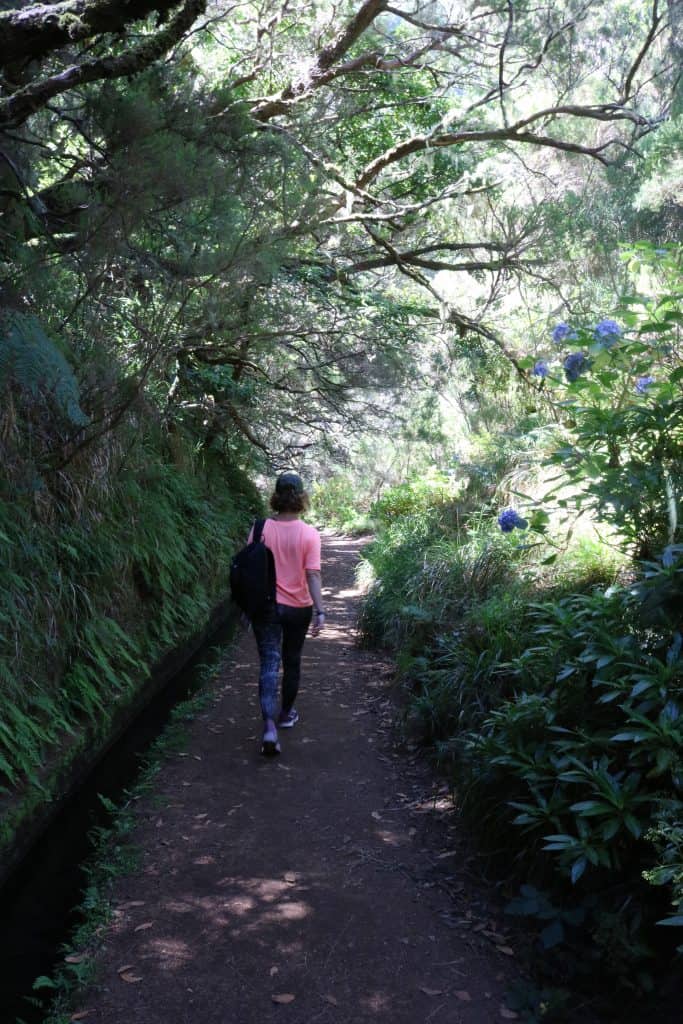 Girl hiking a levada walk with beautiful trees and purple flowers
