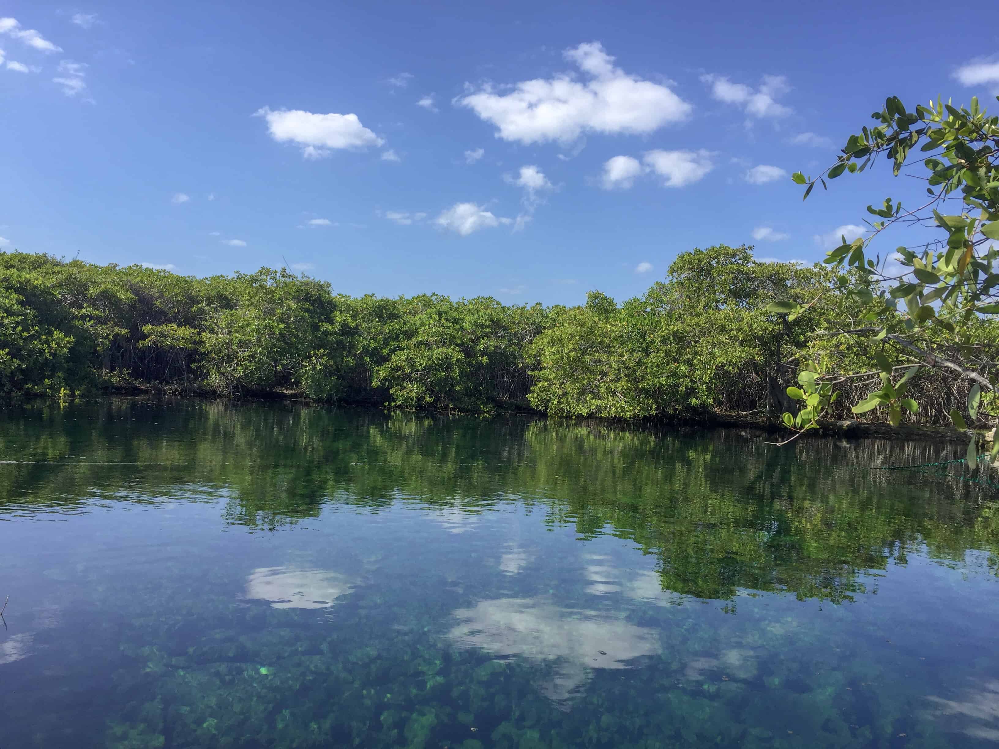Cenote Cape-Ha Tulum