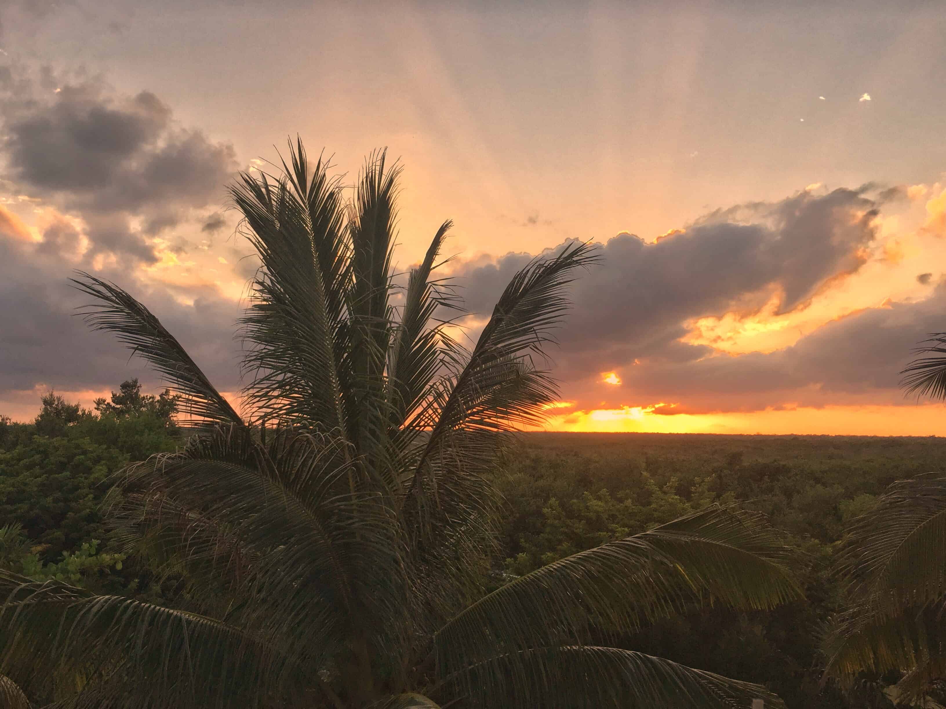 Sunset over a view filled with palmtrees