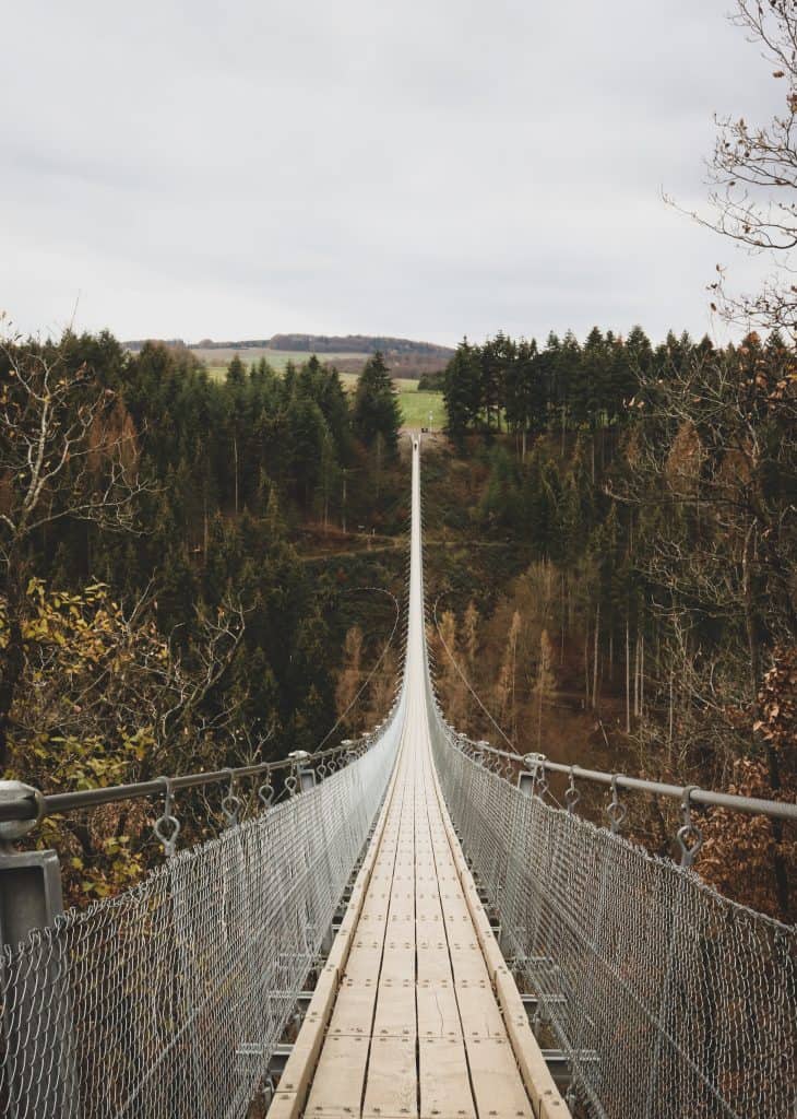 Long suspension bridge surrounded by trees
