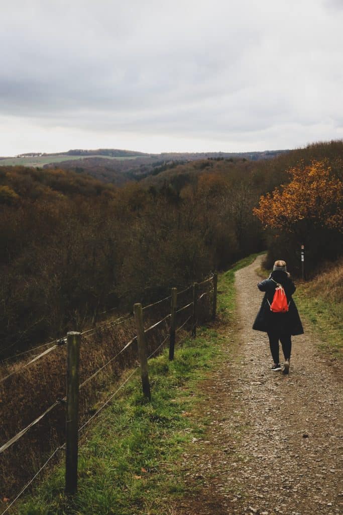 Girl with pink backpack walking on a path that leads to a forest