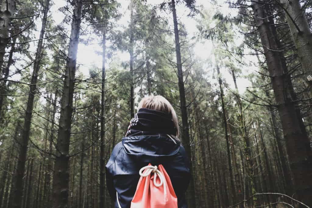 Portrait of the back of a girl with a pink backpack looking up at tall pine trees