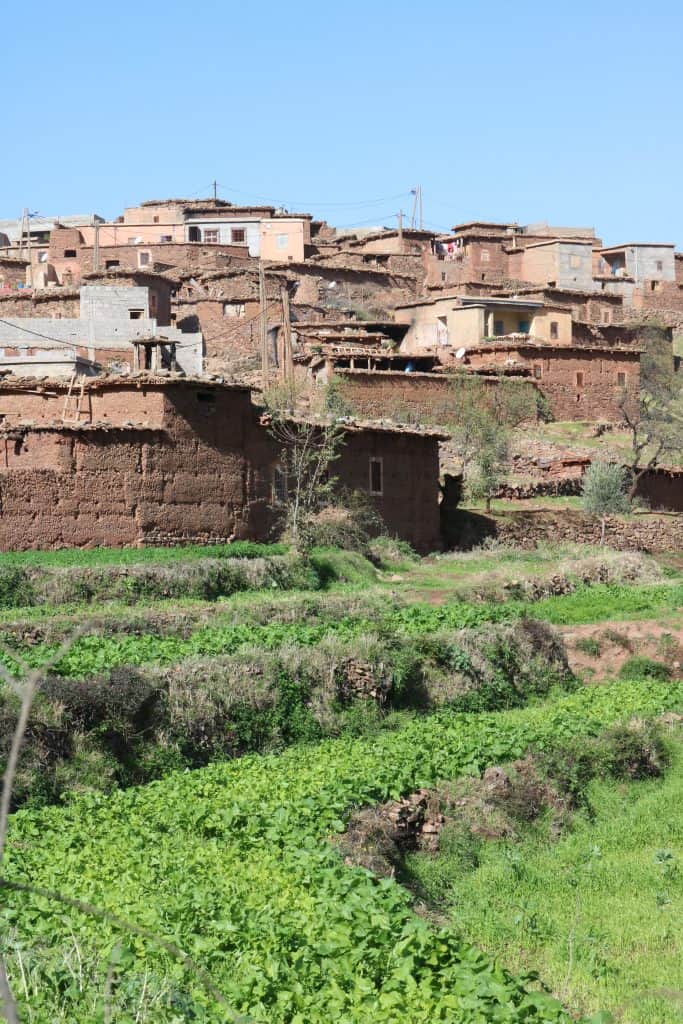 Berber villages with brown huts and a garden with herbs