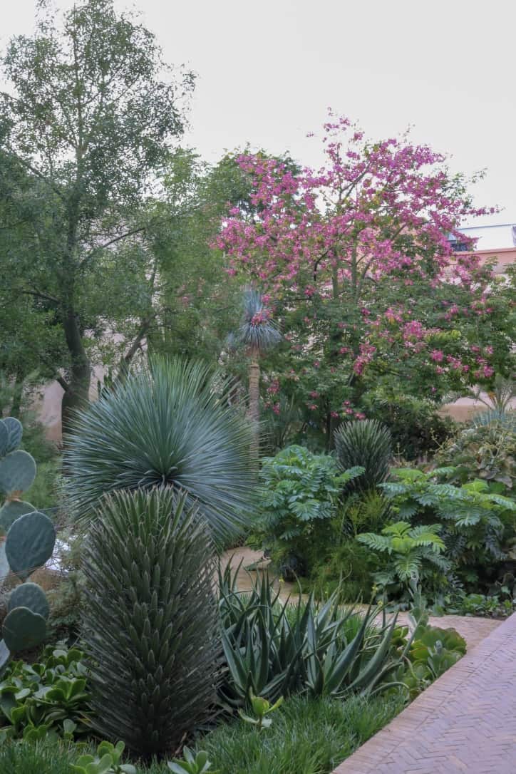 Plants in Le Jardin Secret in Marrakech