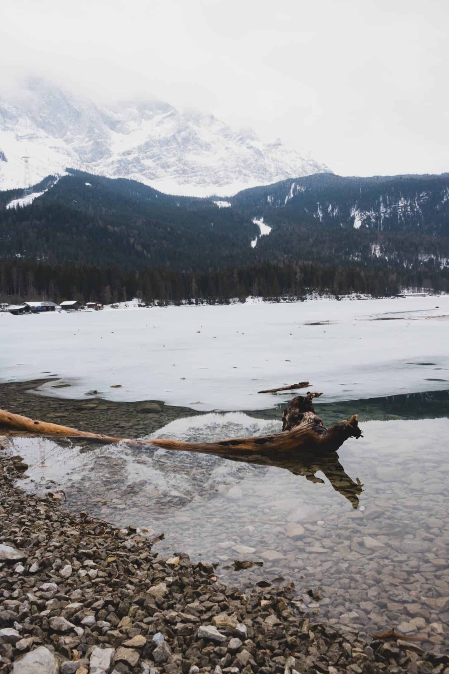 branch of a tree in the water and a frozen lake and mountains behind it