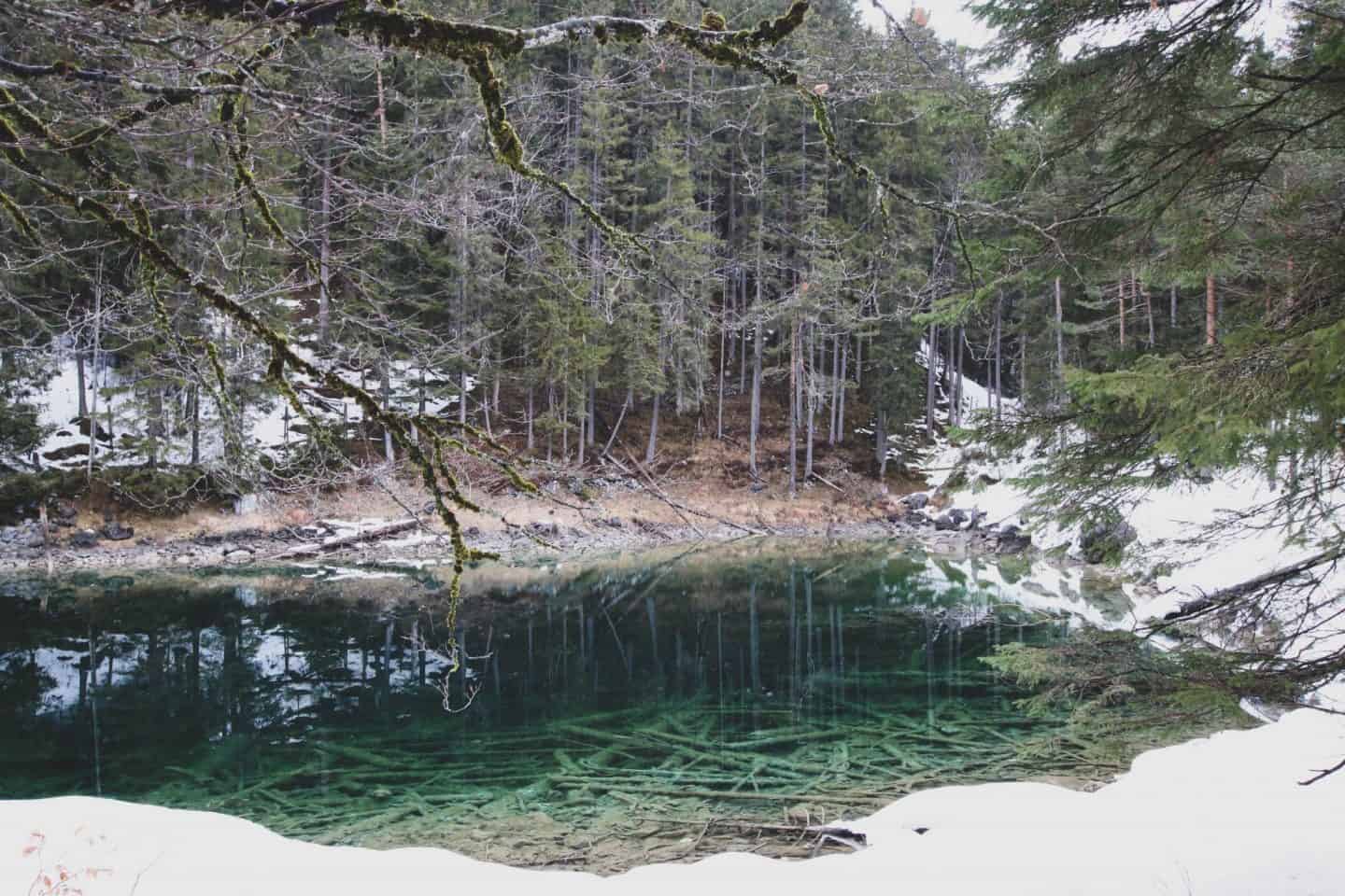 Green blue lake with trees around