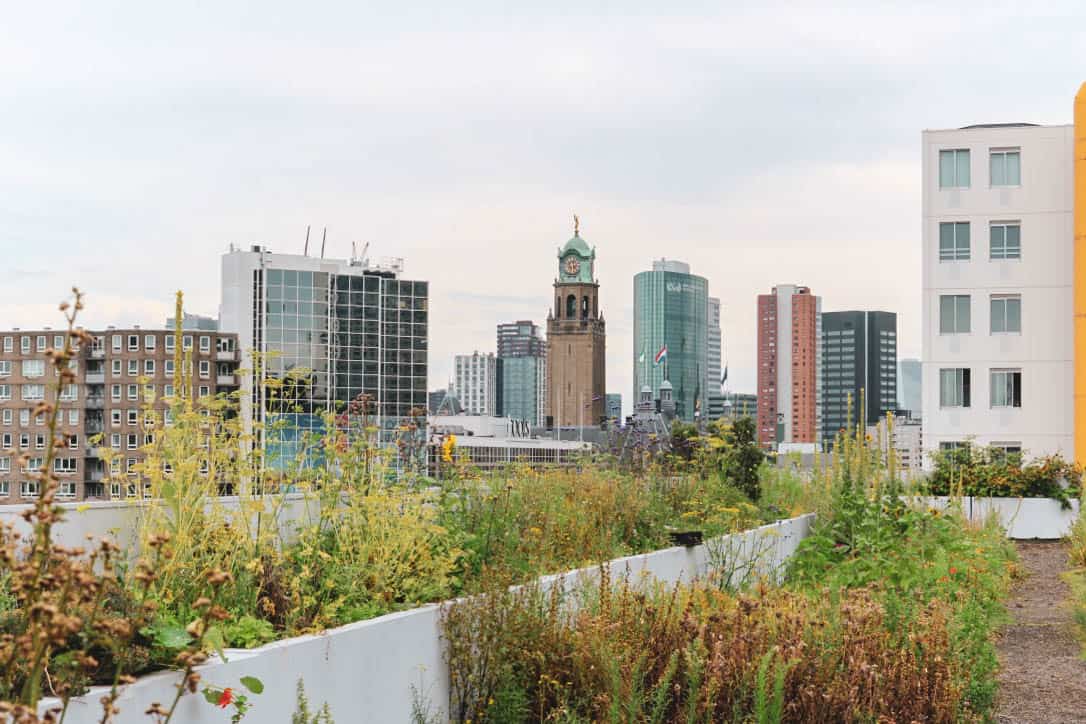 Uitzicht op skyscrapers vanop het dak van ophetdak in Rotterdam