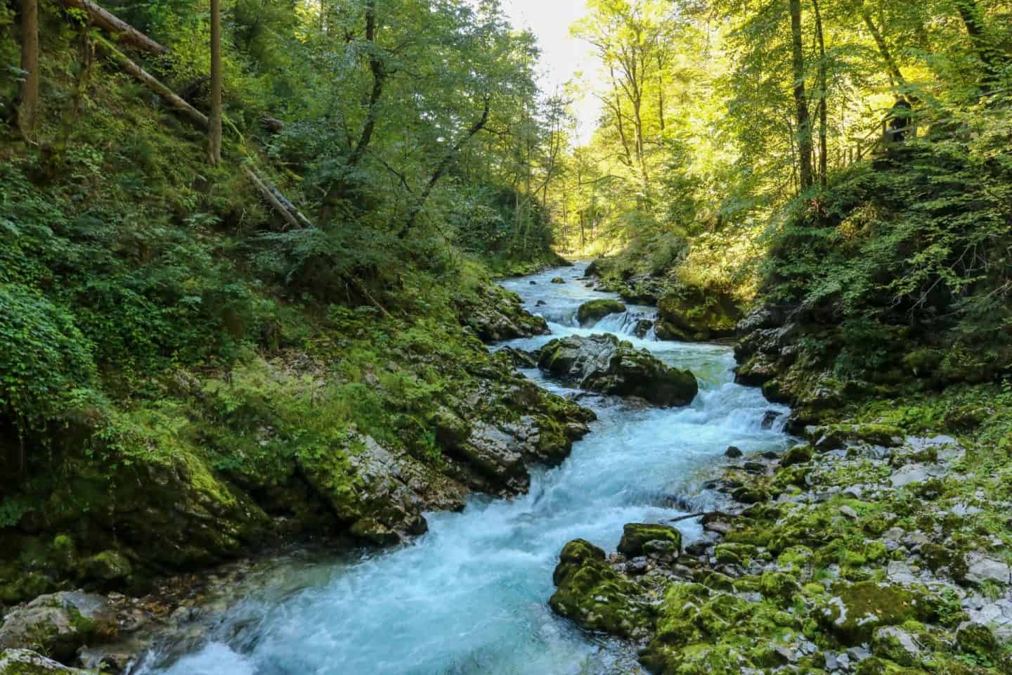 Vintgar Gorge most beautiful place to visit in Slovenia