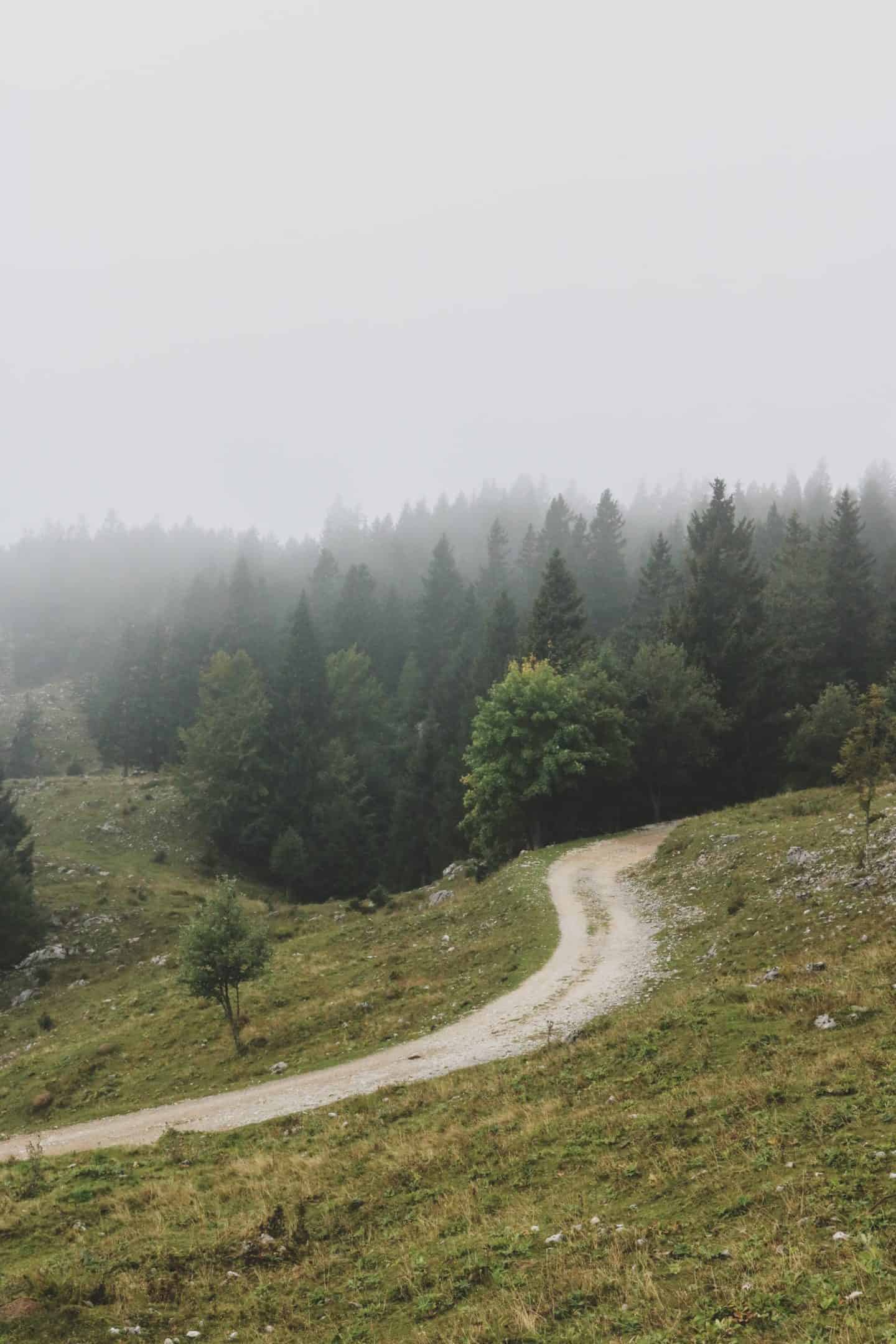 Hike up to Velika Planina