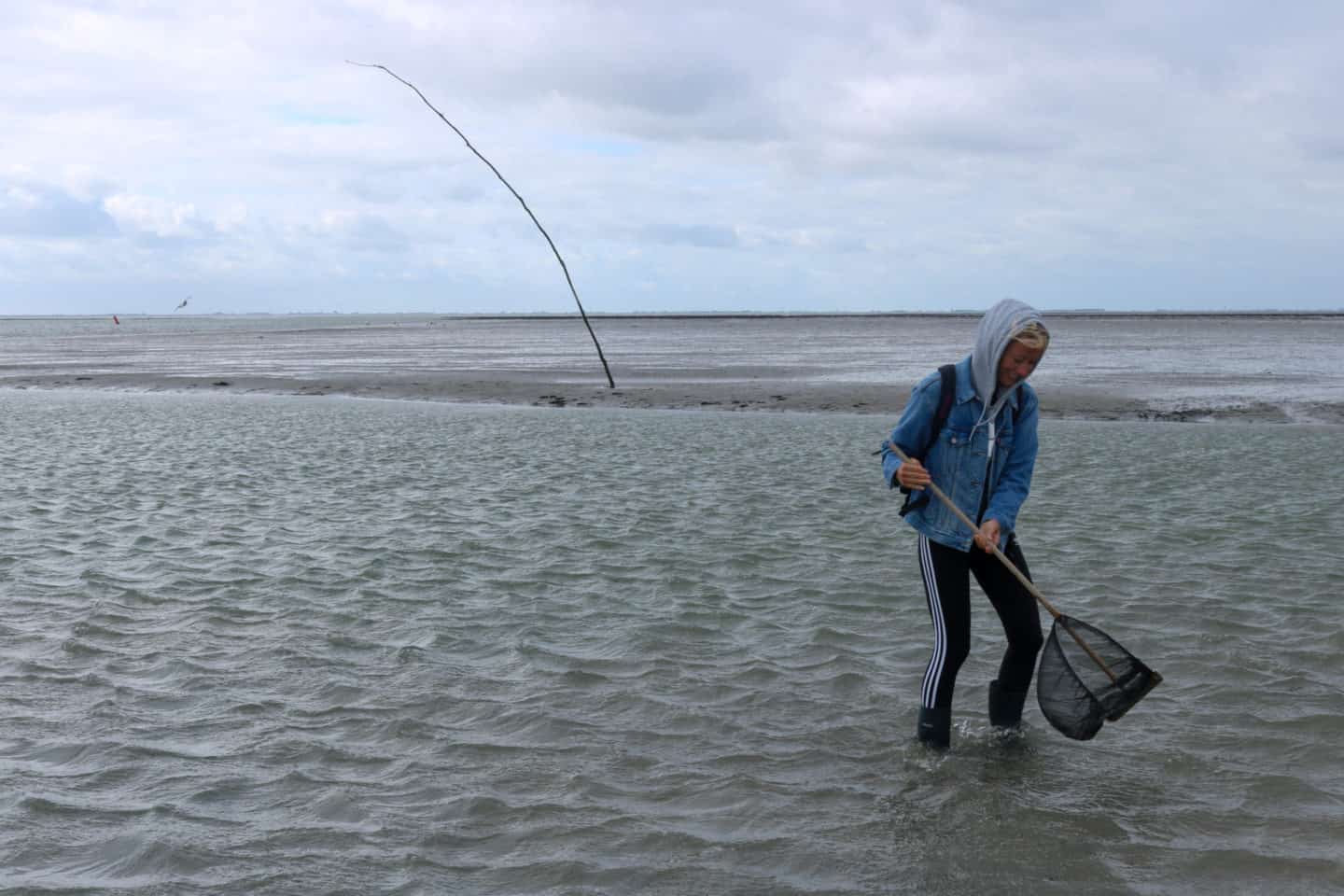 Girl trying to catch something during a wad excursion on Schiermonnikoog