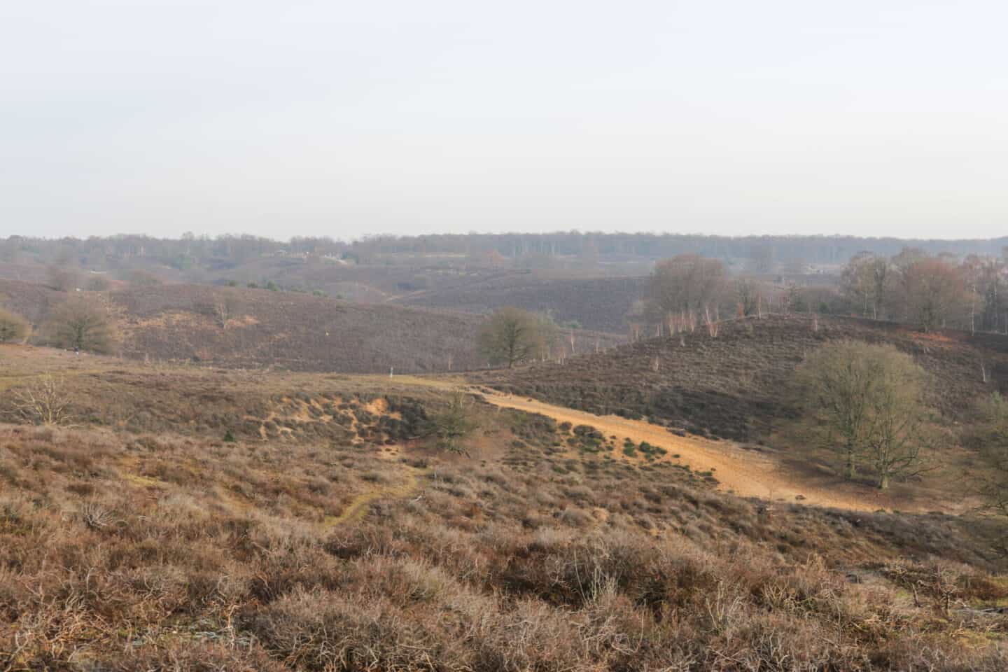 Herikhuizerveld Posbank National Park Veluwezoom