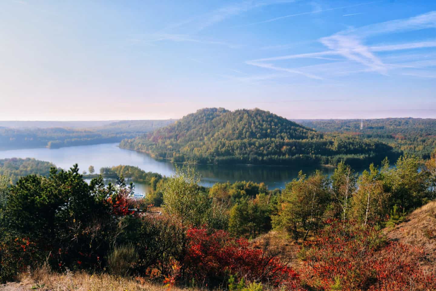 Beautiful nature Belgium
Connecterra