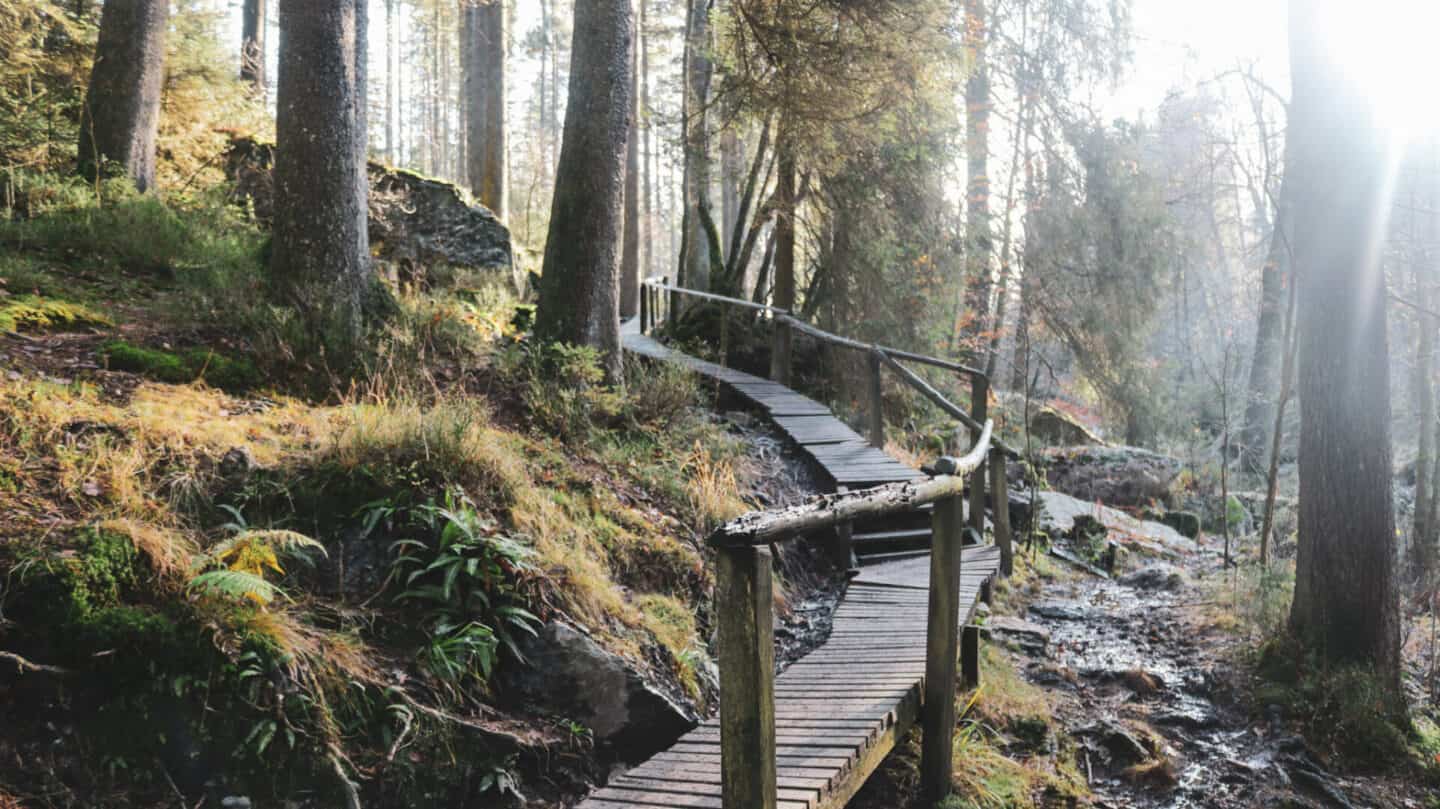 Beautiful nature belgium 
Hoëgne valley