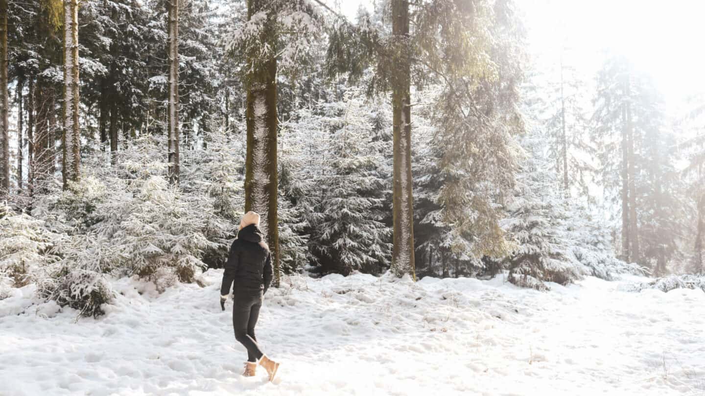 High Fens Belgium snow