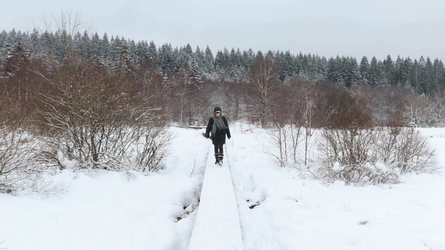 Snow High Fens Belgium
Beautiful nature Belgium