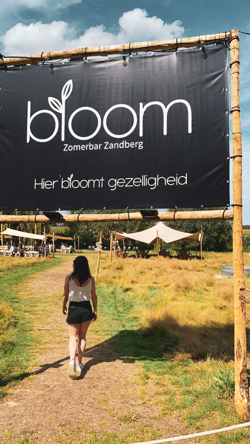 Zomerbar bloom weekend scheldeland