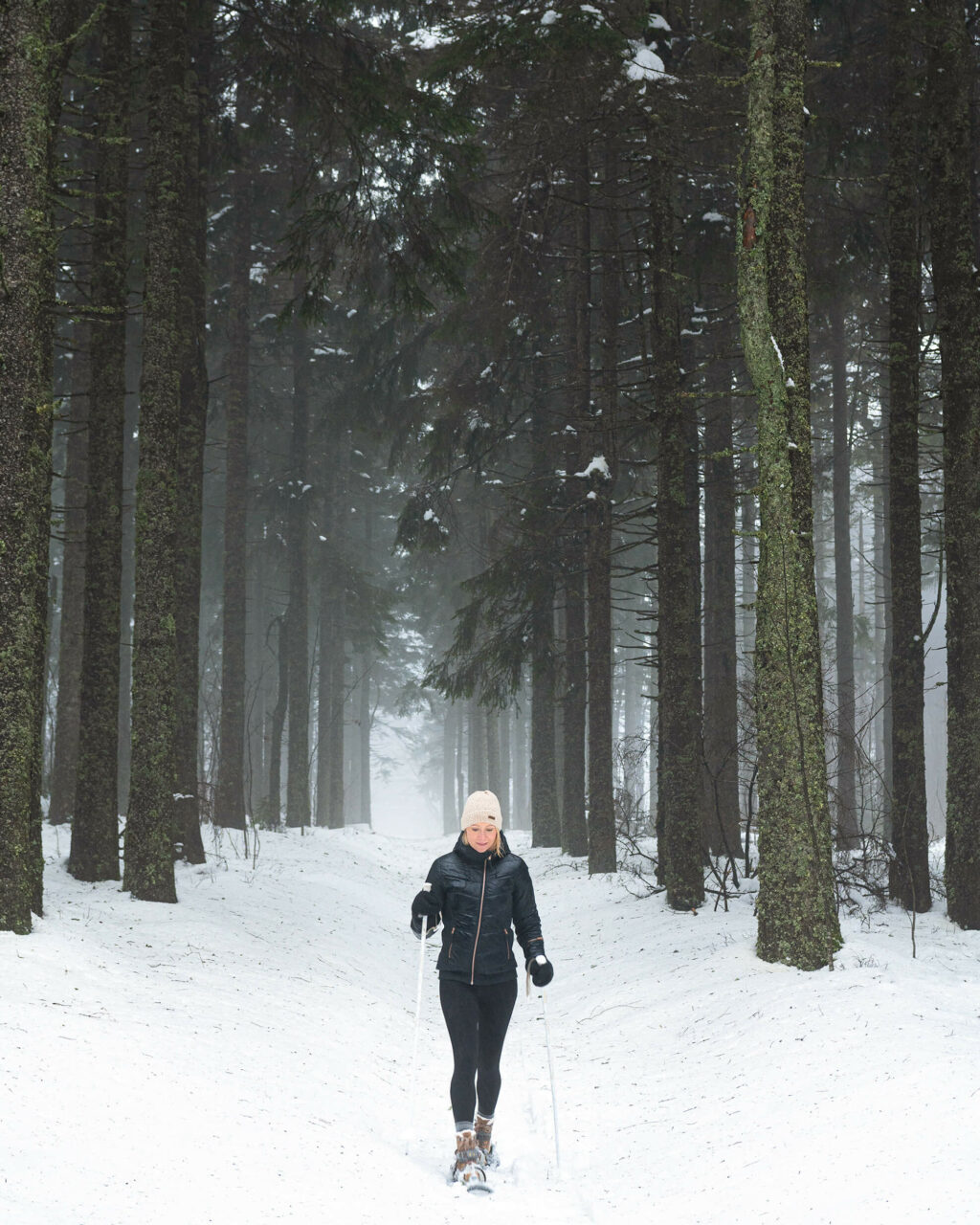 Snowshoe Alsace